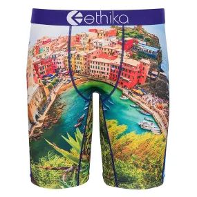 Ethika Mens Vernazza Multicolored Polyester Fabric Boxer Brief Underwear - UMS045-BLU-M