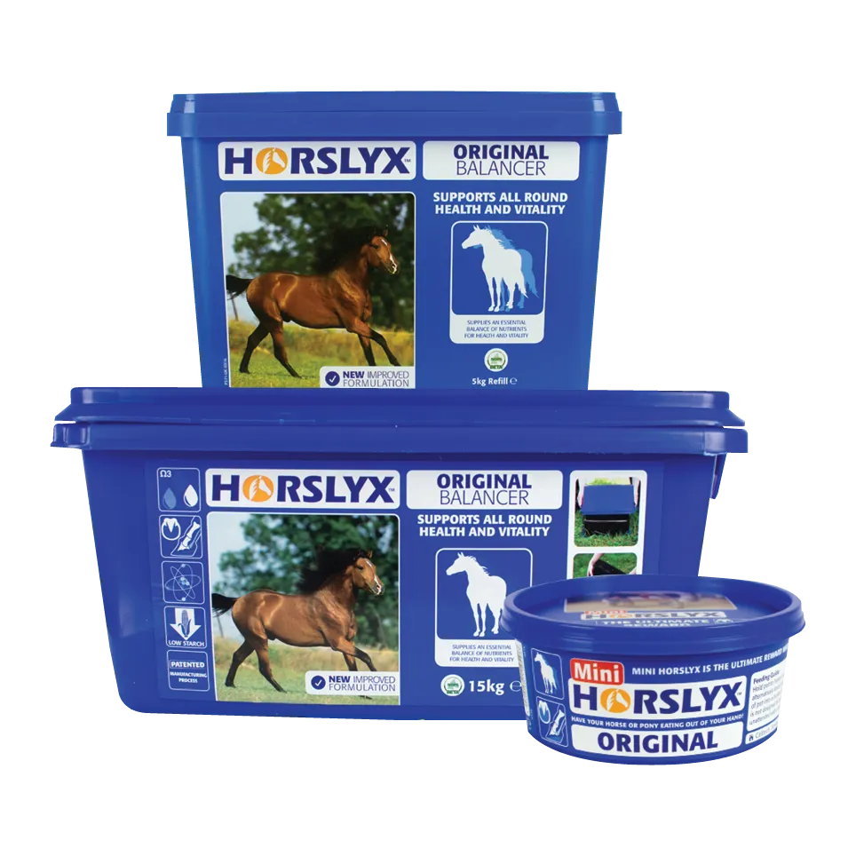 Horslyx Original Balancer