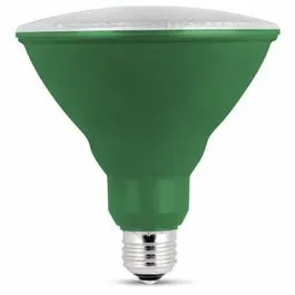 LED Light Bulb, Par38, Green, 8-Watt