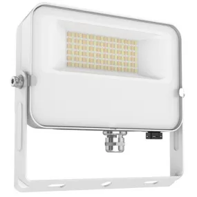 Morris Products 74512 120V Color Tunable Small Flood 30W Bracket Mount 3/4/5K White