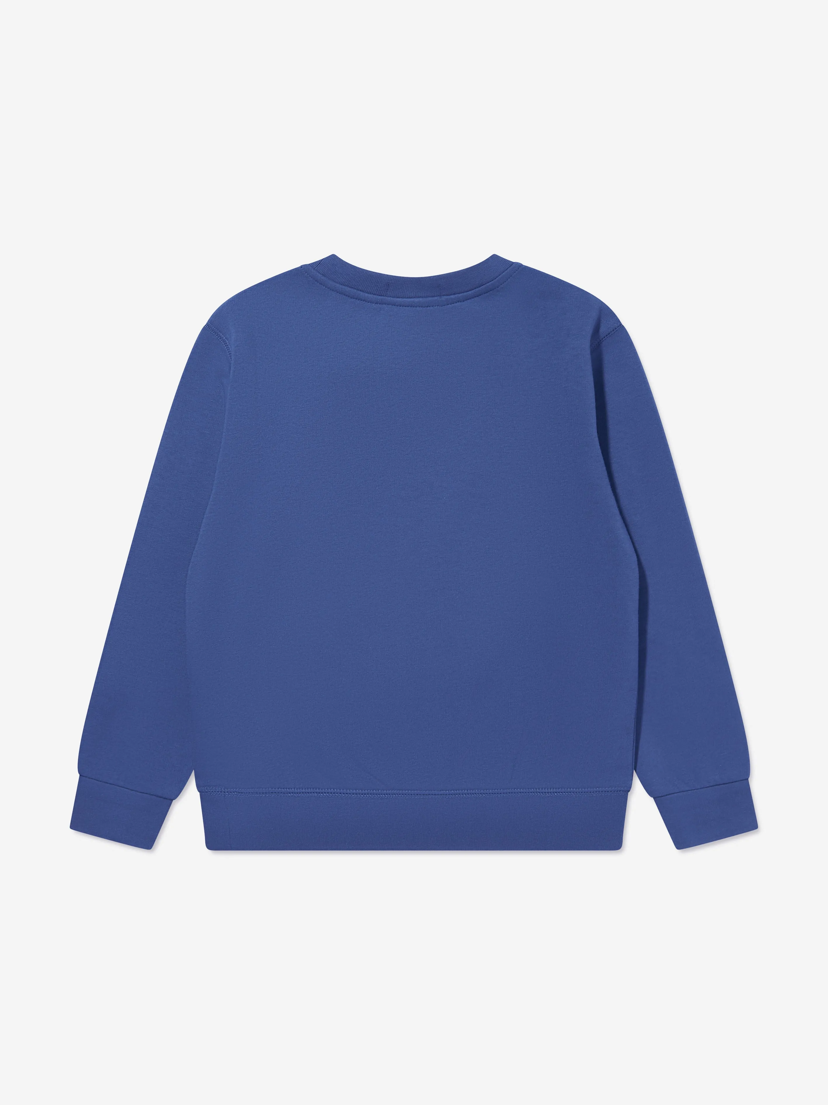 Ralph Lauren Boys Bear Sweatshirt in Blue