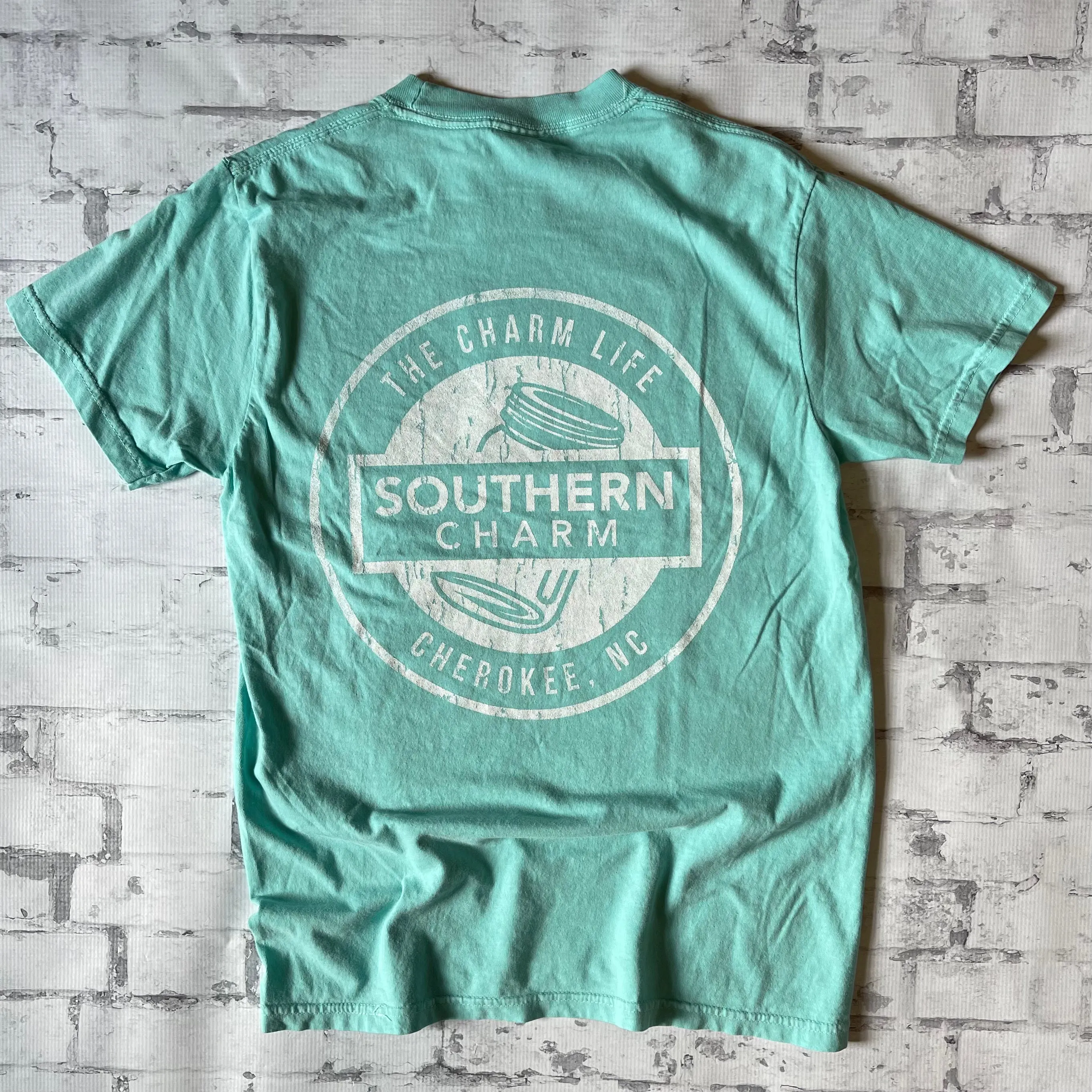 Southern Charm "70s" Short Sleeve T-shirt - Mint