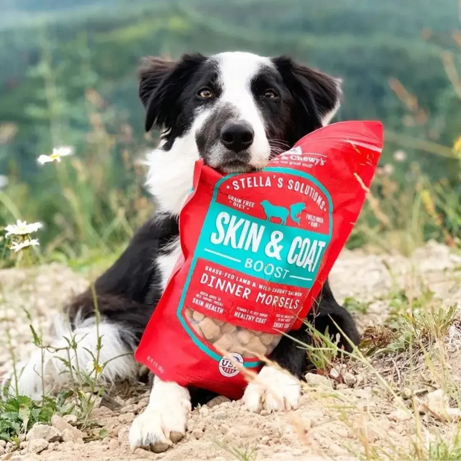 Stella & Chewy's Stella's Solutions Skin & Coat Boost Grass-Fed Lamb & Wild Caught Salmon